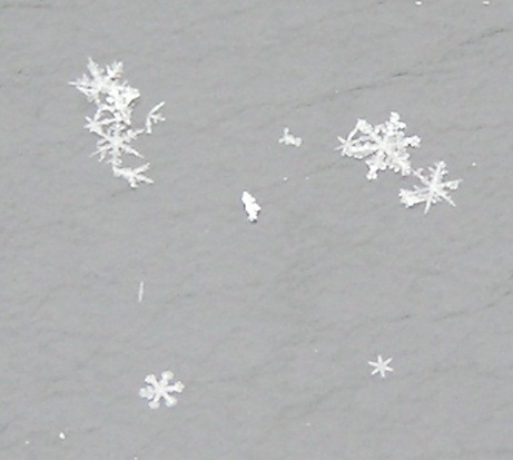 Close-up of snowflakes