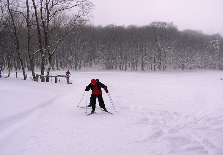 Joyce in the lead, climbing up a hill on skis