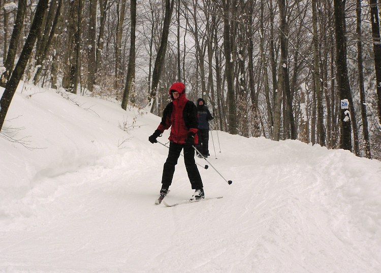 Joyce skiing downhill