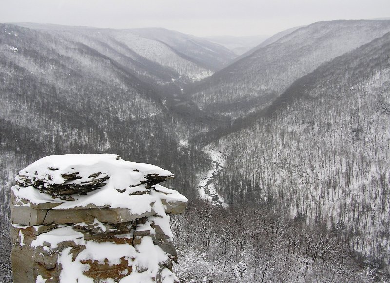 View from Lindy Point