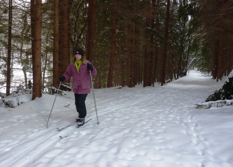 Norma skiing on a straight section through the pines