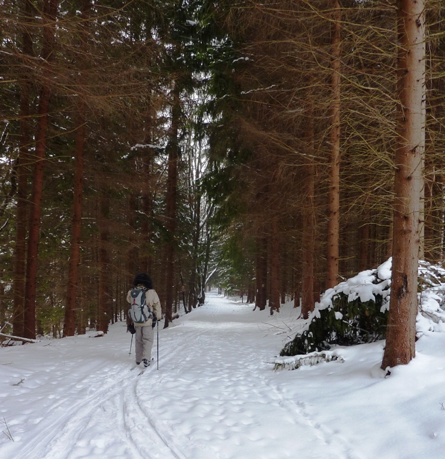 Me skiing through the pines