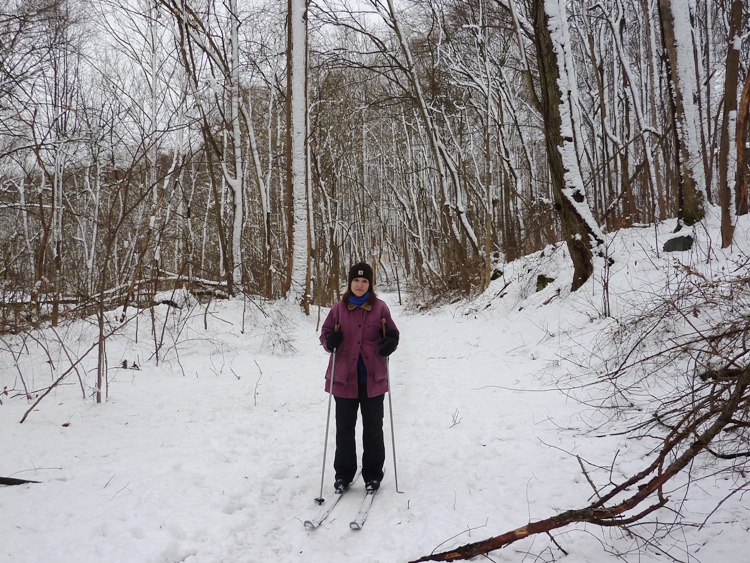 Norma with snow in trees