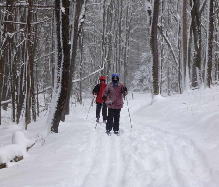 Joyce and Norma on skis