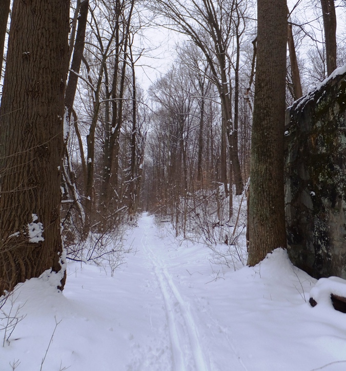 Snow-covered green trail