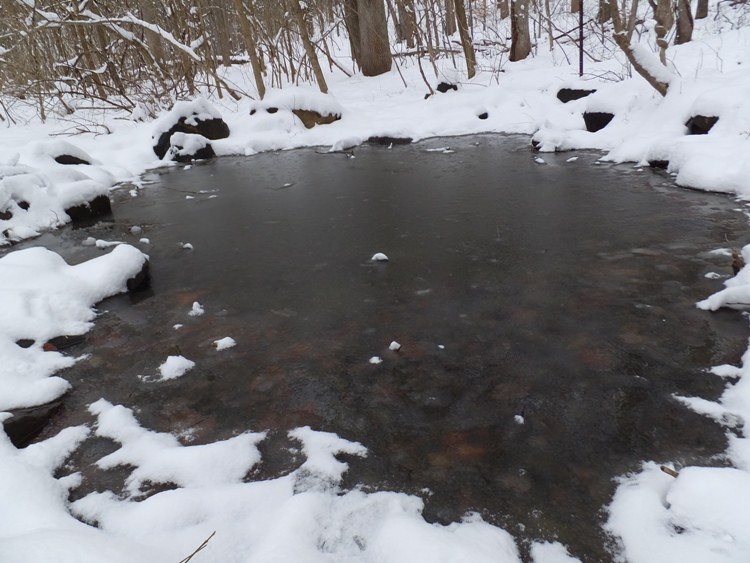 Frozen pond