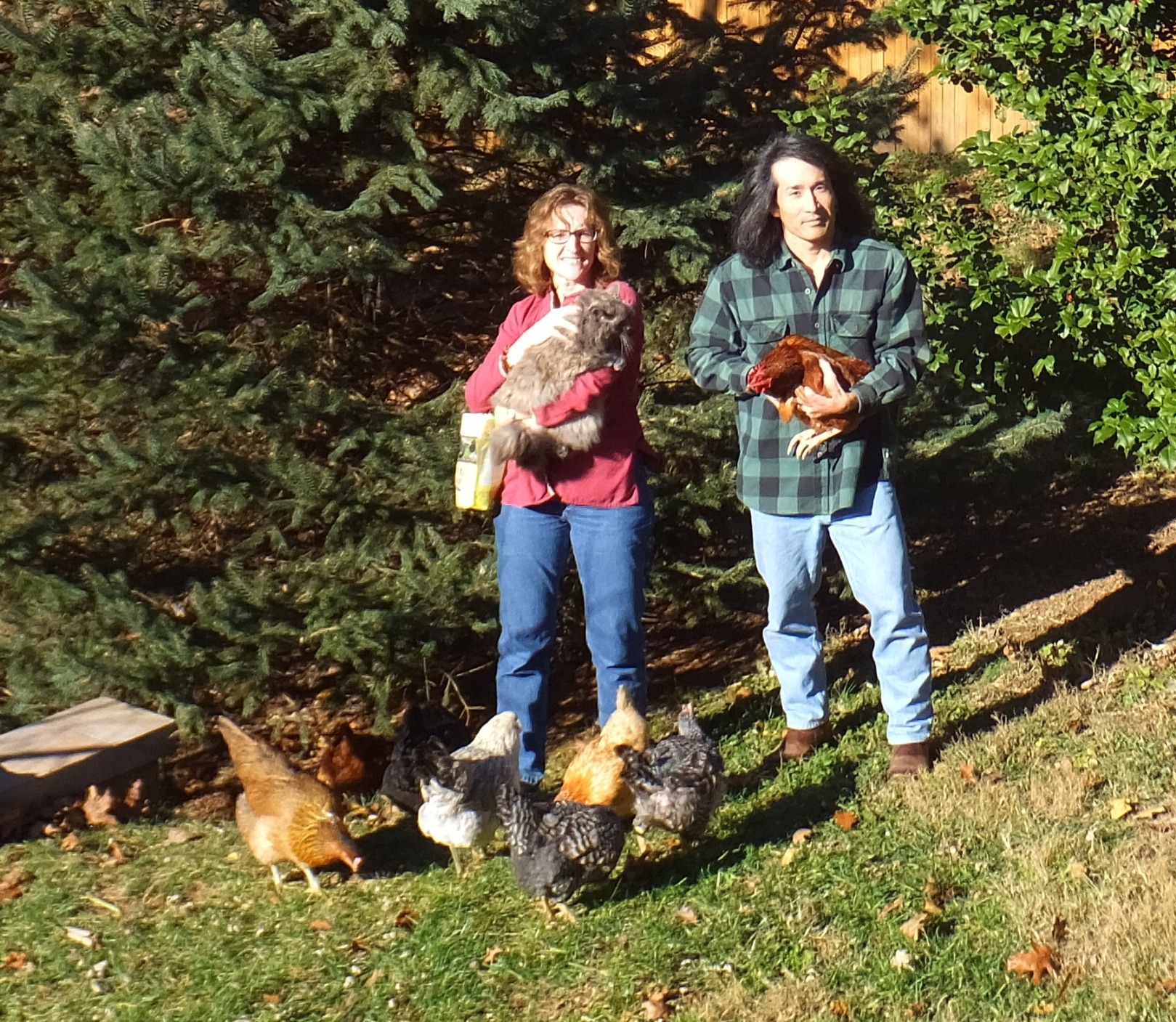 2016 Christmas card photo with Norma, Asha (her cat), me, and all eight chickens