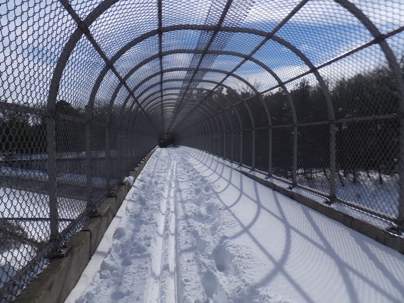 Snow-covered pedestrian bridge