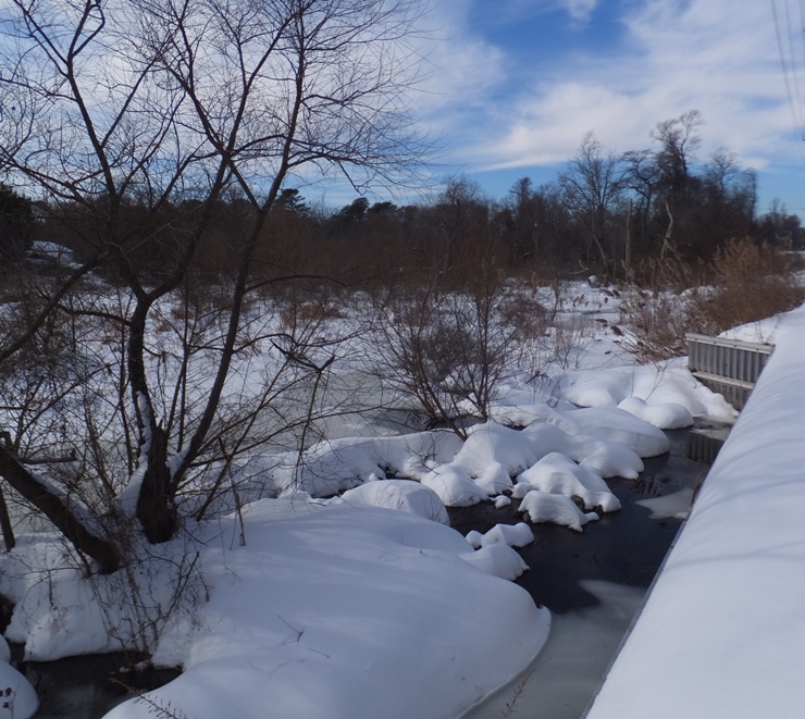 Snow-covered wetlands