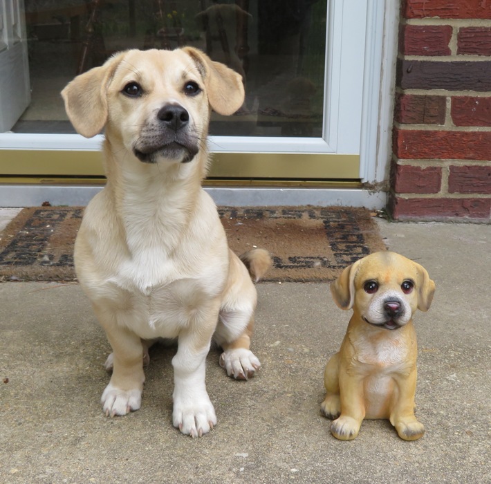 Daphne and look-alike mini-me statue