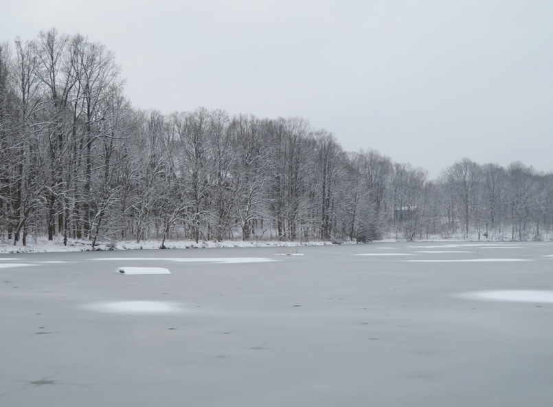 Frozen Lake Elkhorn