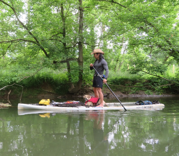 Daphne lying down on the SUP while I paddle