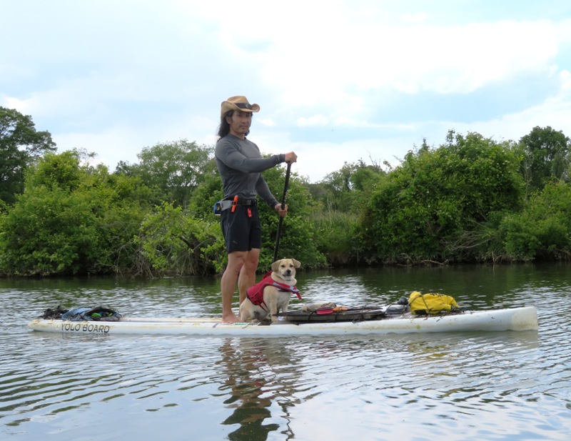 Daphne sitting on the SUP while I paddle