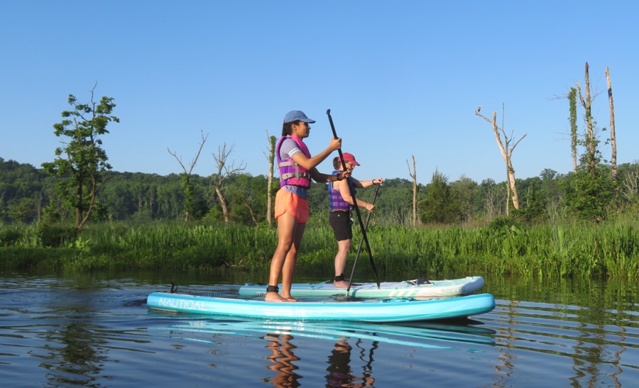 Paddleboarders