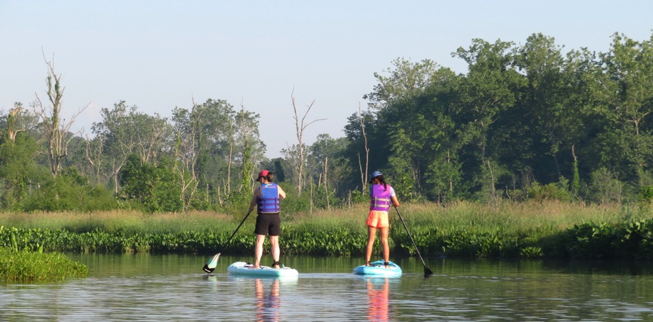 Paddleboarders on Pohick Creek