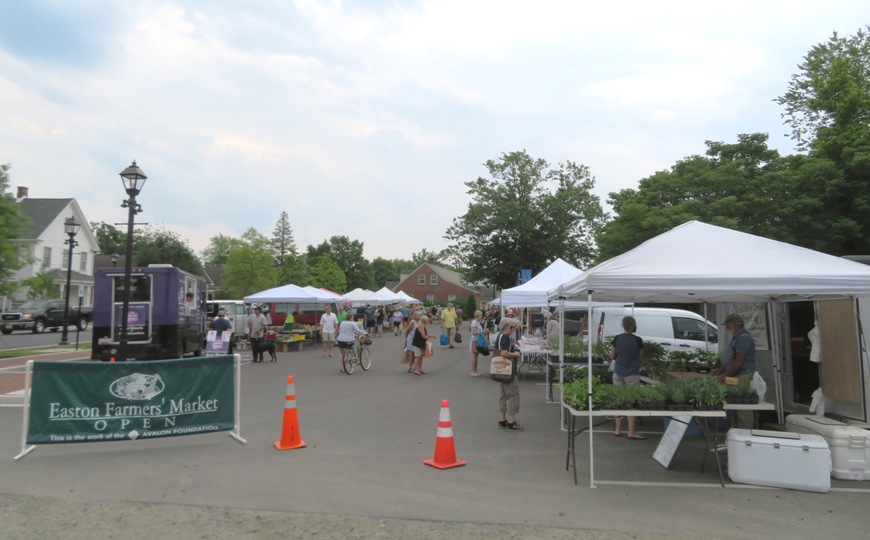 Easton Farmers Market