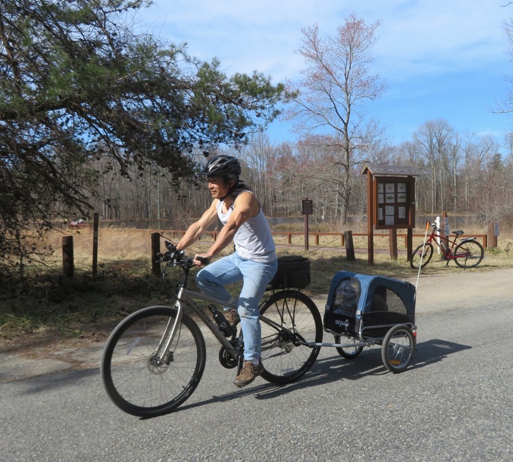 Me on bike pulling Daphne in her carrier