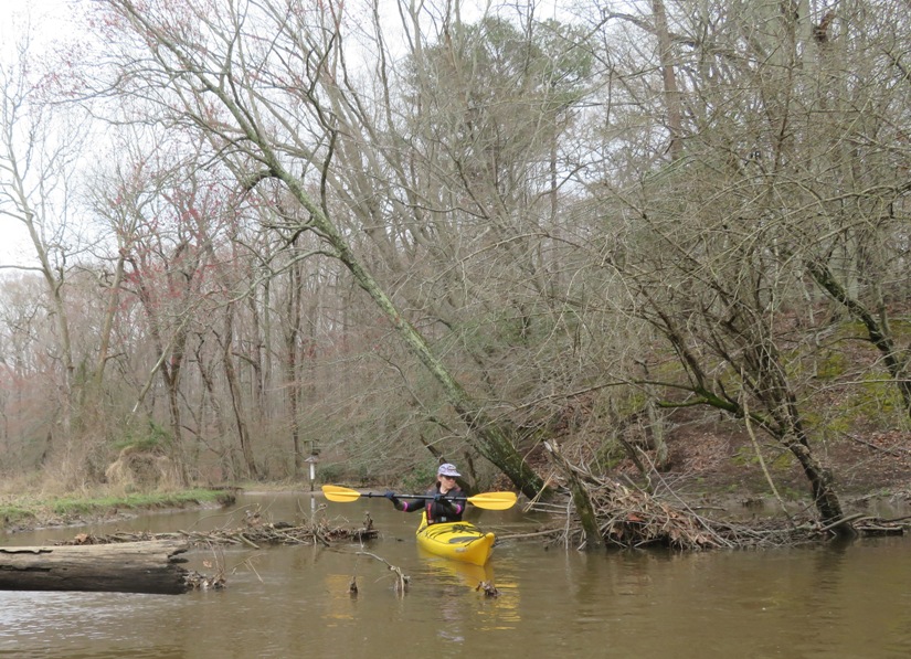 Sara kayaking on Mill Creek