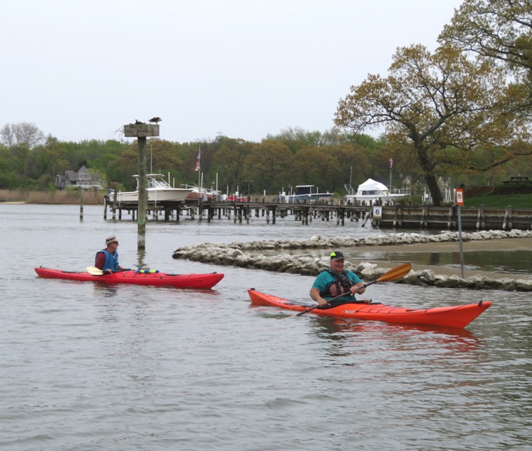 Mark and John paddle past an angry osprey