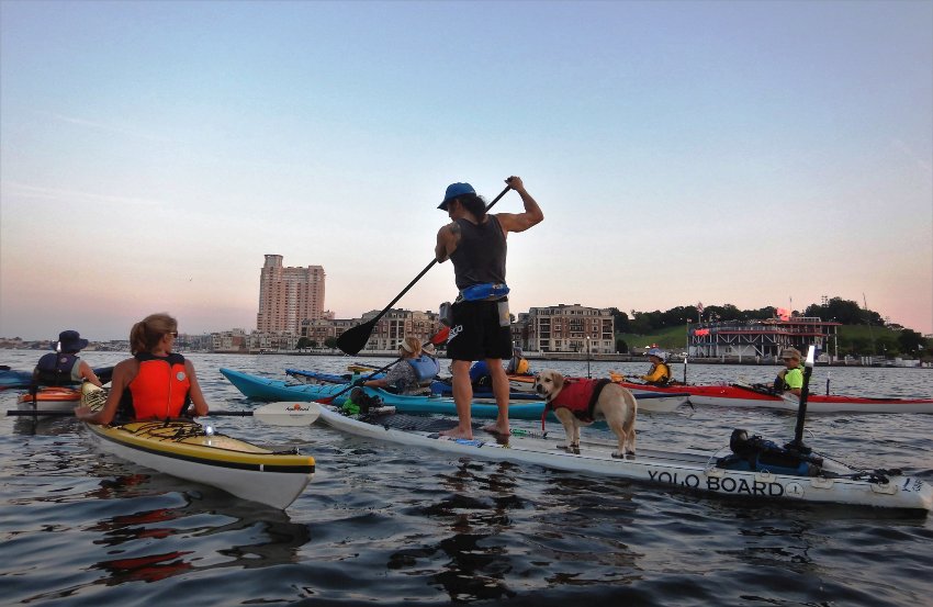 Daphne looking at camera with us on the SUP in group