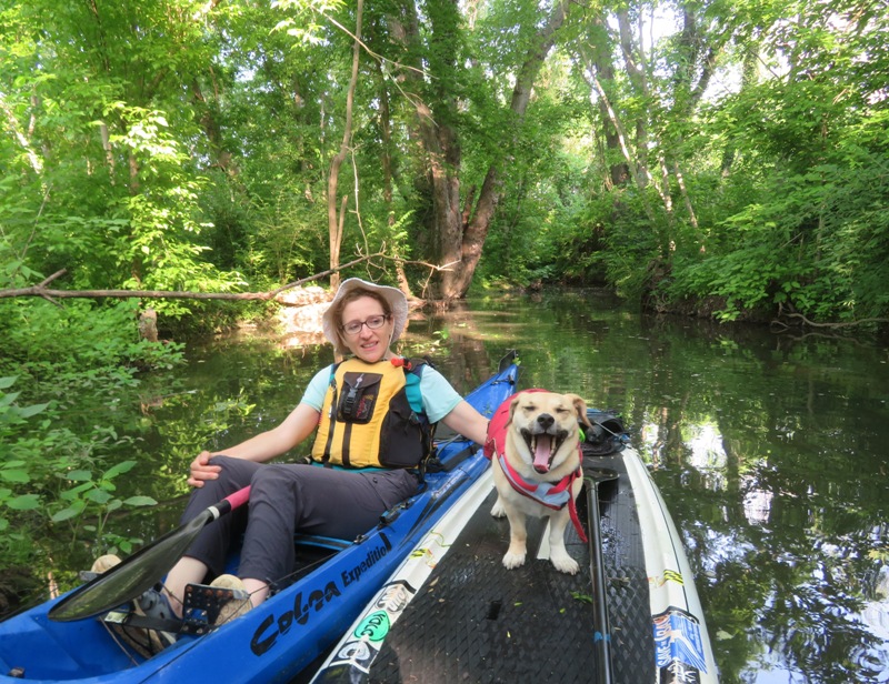 Daphne yawning on SUP