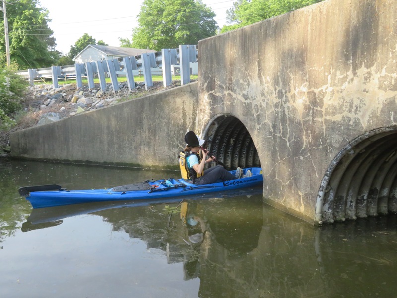 Norma paddling into culvert