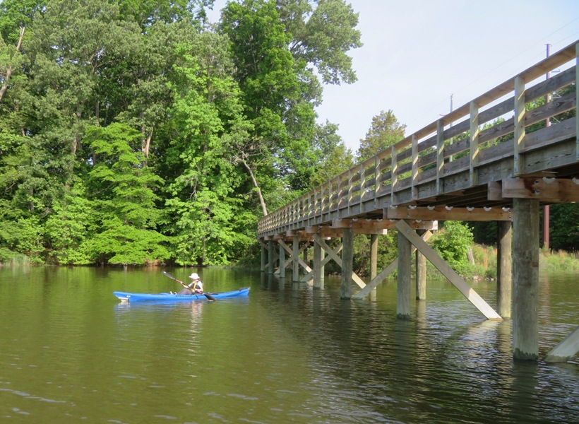 Norma kayaking past pedestrian bridge