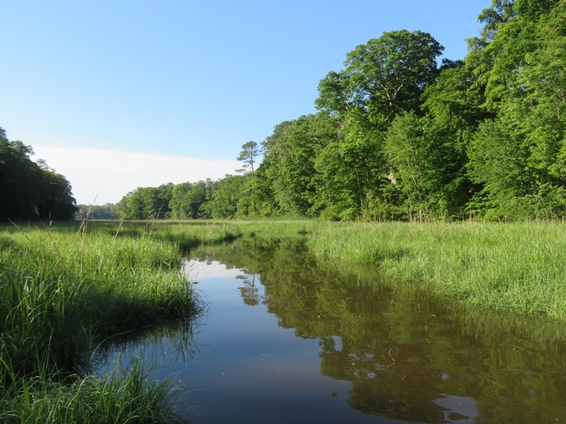 Morning sun on Raccoon Creek