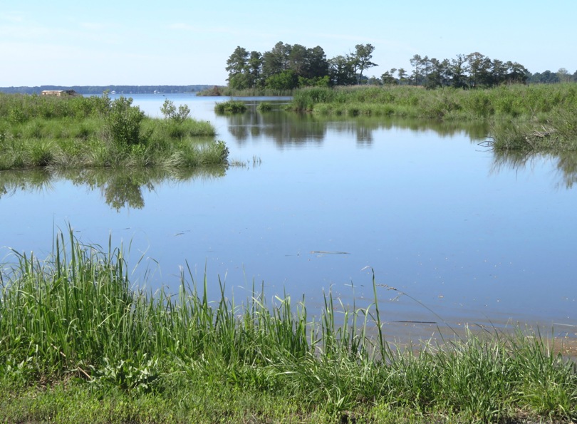 View from launch area