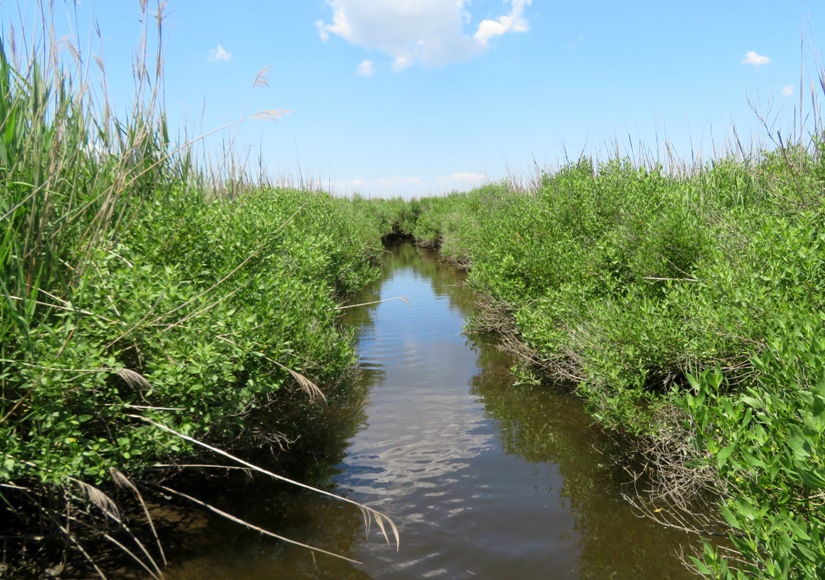 Little Marsh Creek