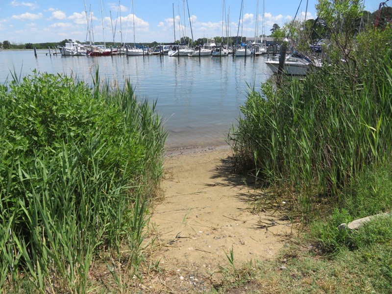 Place to put a boat in between the grasses