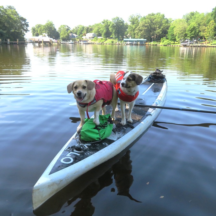 Daphne and Mia on the SUP