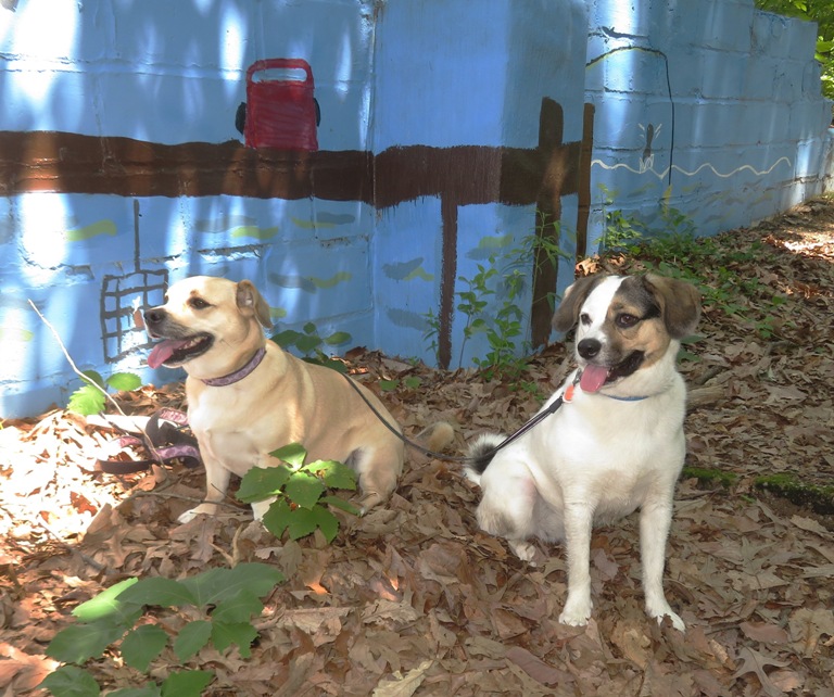 Daphne and Mia in front of painted cinder block wall