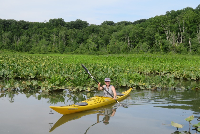 Sara kayaking on a tributary of Western Branch