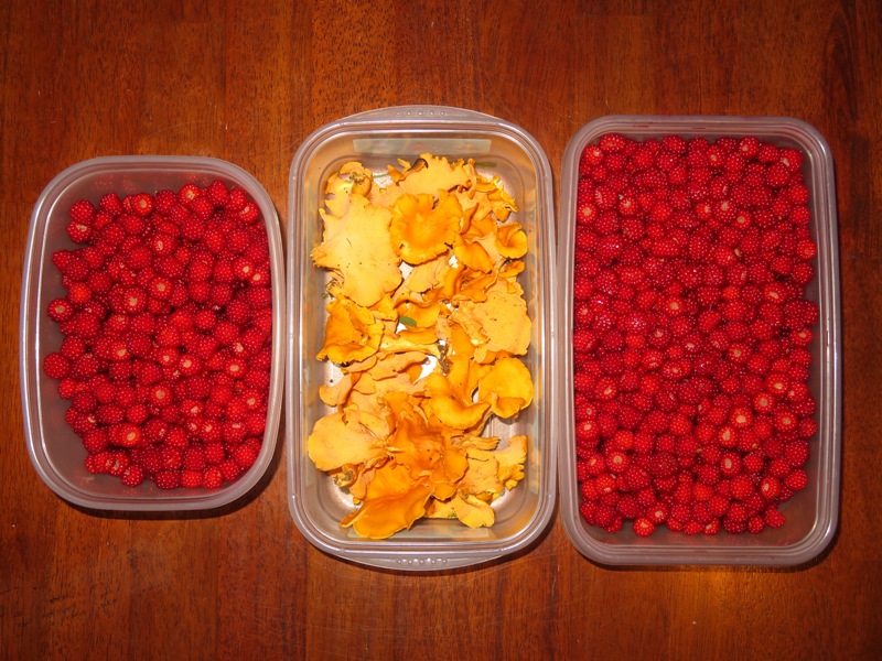 Wineberries and chanterelle mushrooms