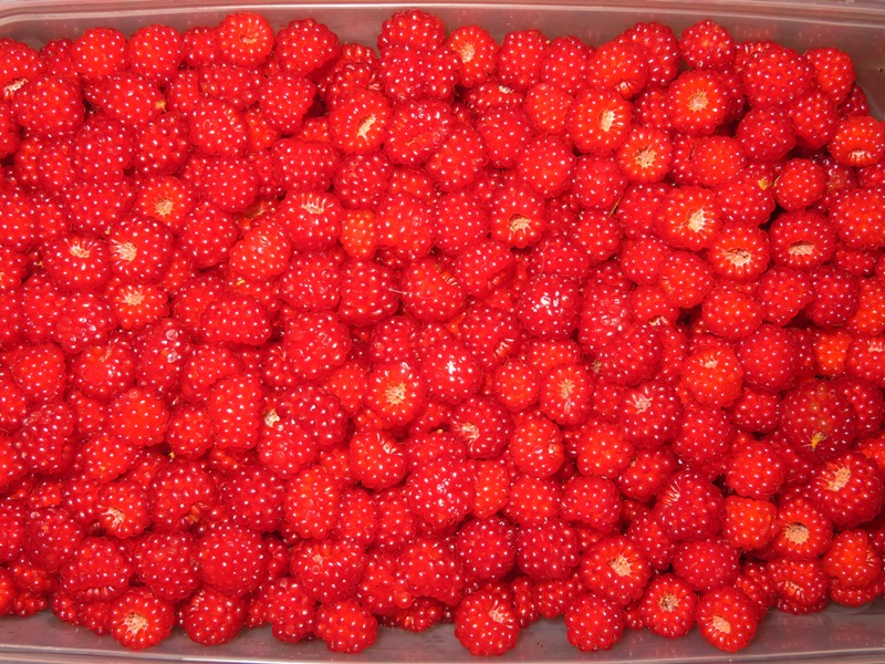 Wineberries