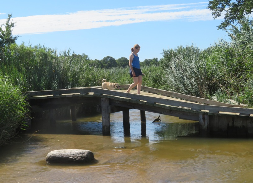 Crossing wooden bridge over creek