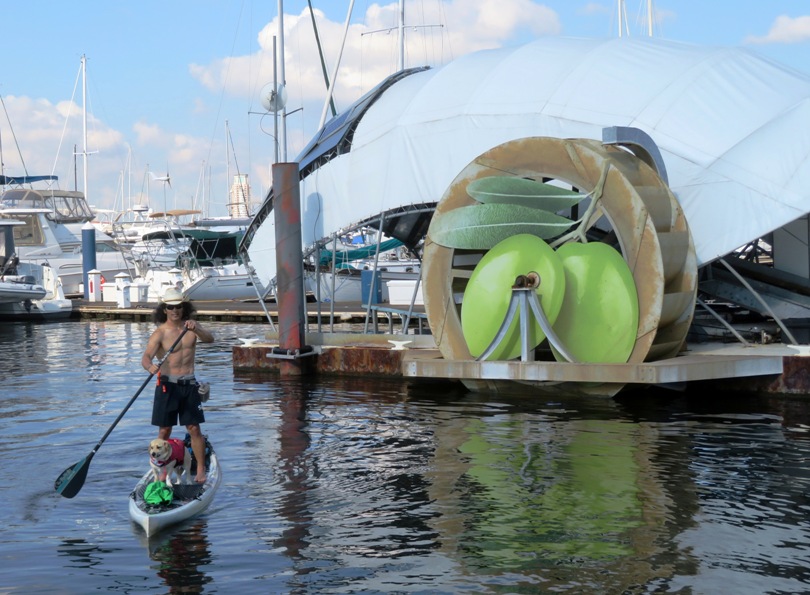 Daphne and I on the SUP with Mr. Trash Wheel in the background