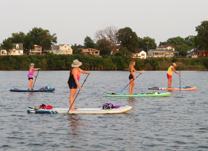 Paddleboarders