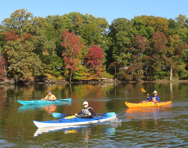 Paddling upstream on Island Creek