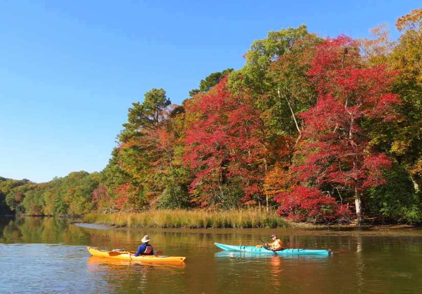 My favorite pic because of the fall colors