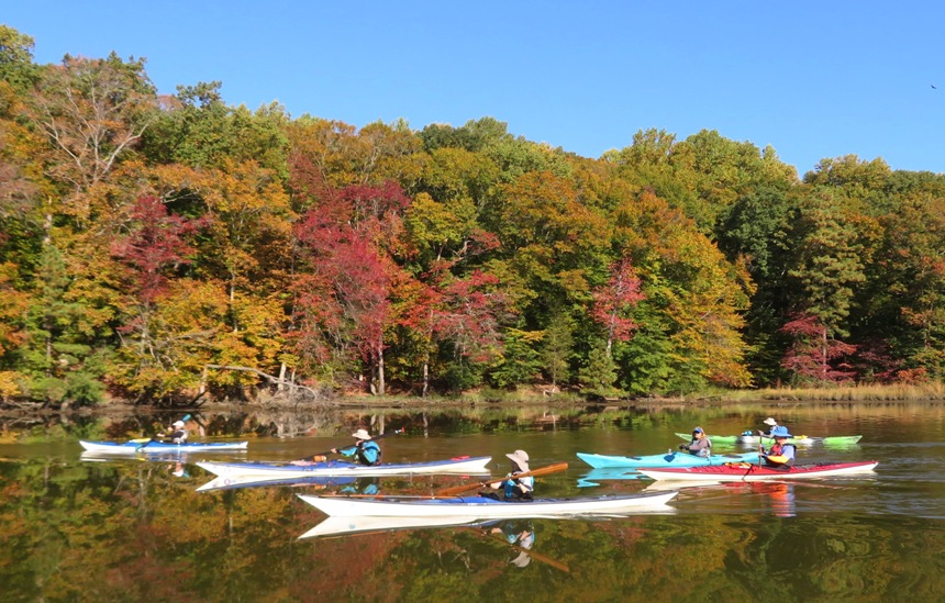 Six out of eleven paddlers shown paddling