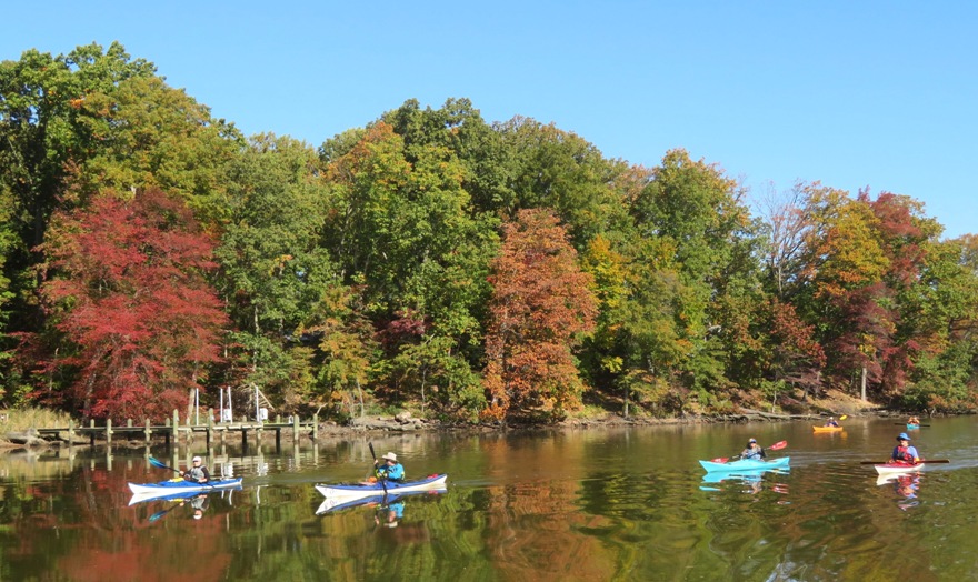 Six kayakers with fall foliage behind