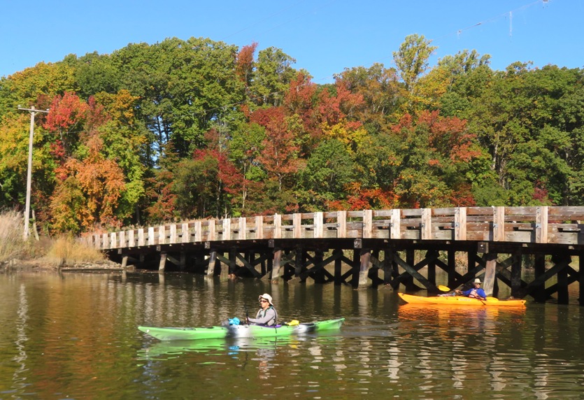 Kayaking under the bridge at Island Creek Road