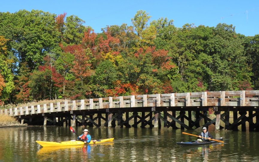 Two kayakers at the Island Creek Road bridge