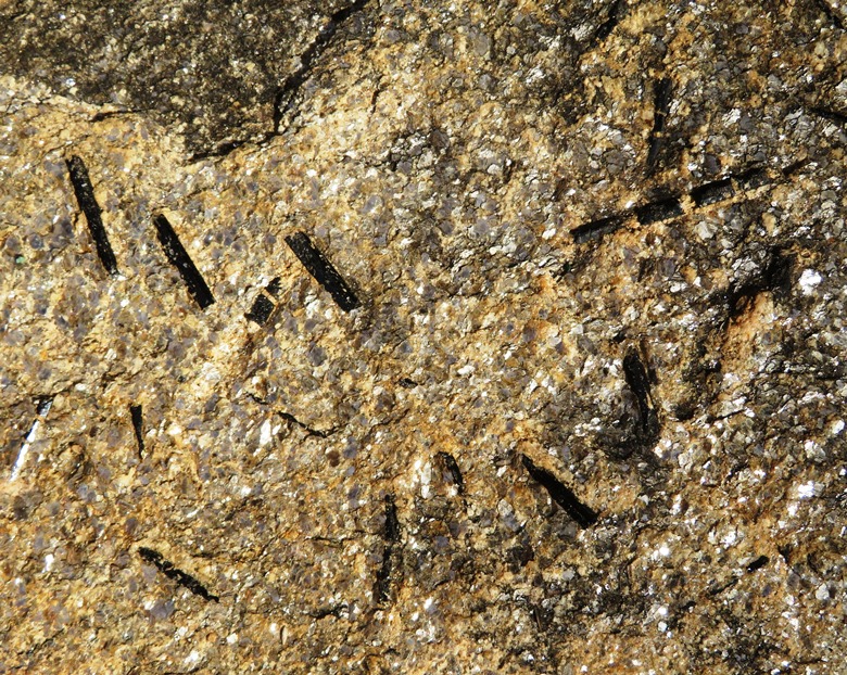 Long, skinny black things embedded in stone on the ground at the Red Dog Lodge