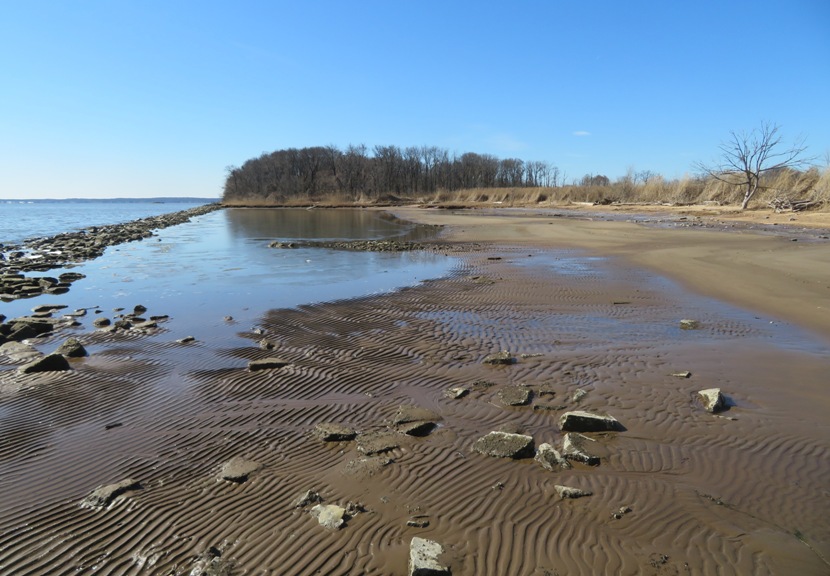 The beach