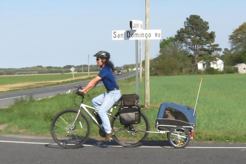 Bicycling and towing Daphne in San Domingo