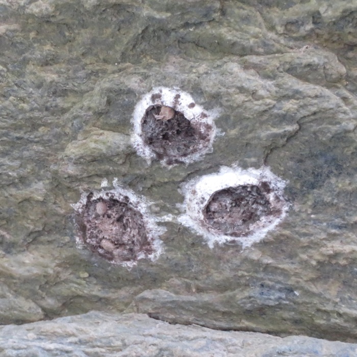 Three white circles on a boulder