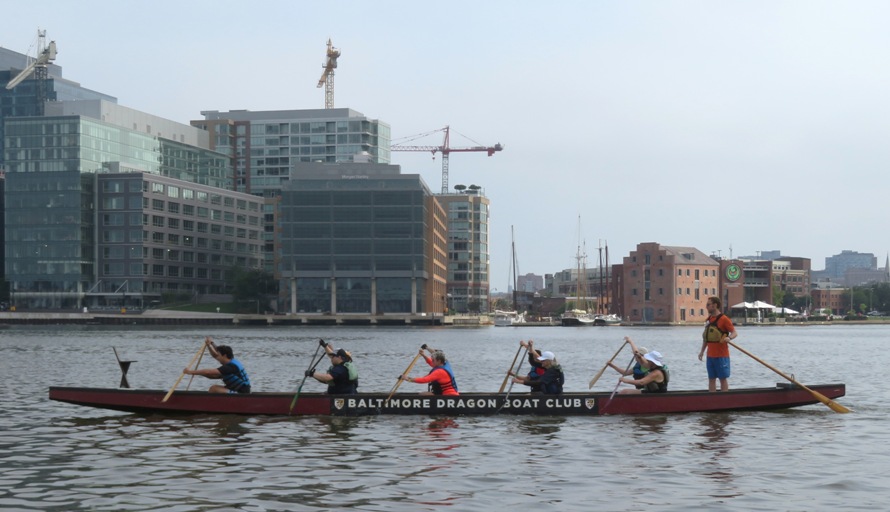 Dragon boat being paddled